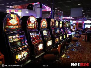 guitarrapg - Registro Bet Oficial
